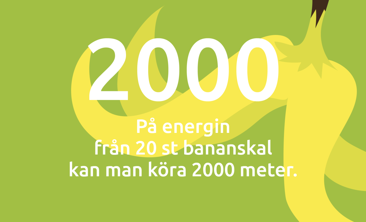 bananskal biogas